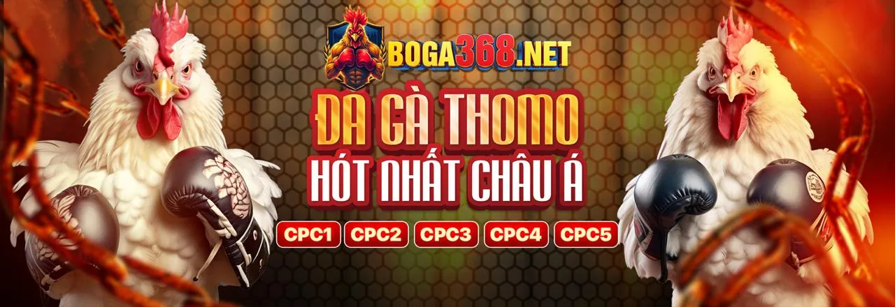 Đá Gà Trực Tuyến PQ88 Code