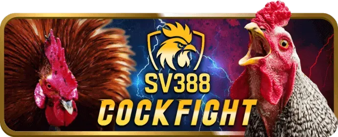 Cá cược đá gà pq88 code